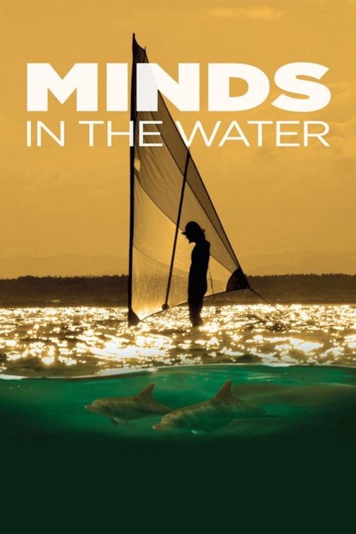 Minds In the Water poster